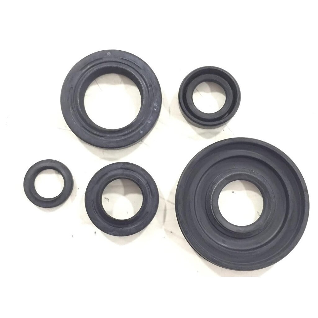 SPACY 110 KEÇE TAKIMI.